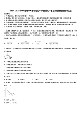 2024-2025学年湖南师大附中思沁中学物理高一下期末达标检测模拟试题含解析