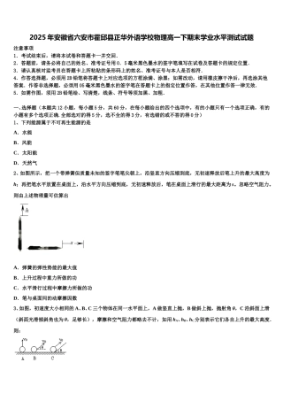 2025年安徽省六安市霍邱县正华外语学校物理高一下期末学业水平测试试题含解析