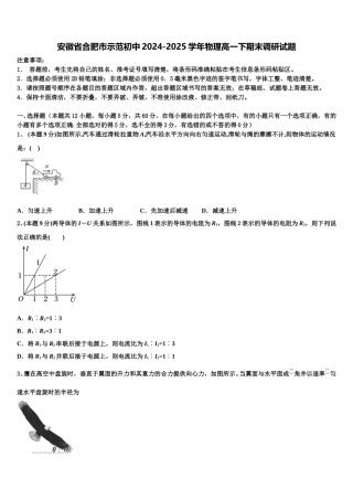 安徽省合肥市示范初中2024-2025学年物理高一下期末调研试题含解析
