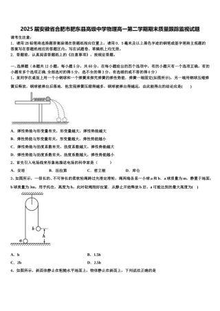 2025届安徽省合肥市肥东县高级中学物理高一第二学期期末质量跟踪监视试题含解析