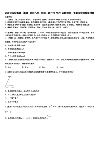 安徽省六安市第一中学、合肥八中、阜阳一中三校2025年物理高一下期末监测模拟试题含解析