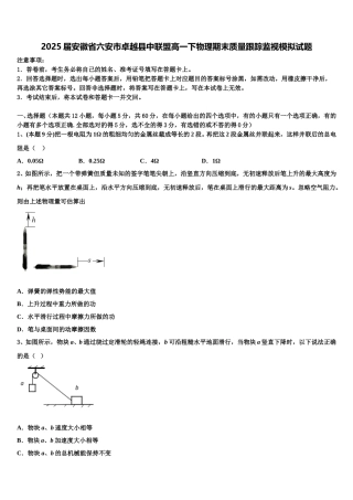 2025届安徽省六安市卓越县中联盟高一下物理期末质量跟踪监视模拟试题含解析