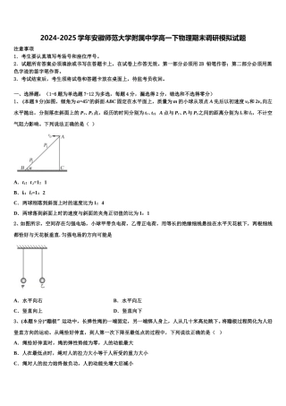 2024-2025学年安徽师范大学附属中学高一下物理期末调研模拟试题含解析