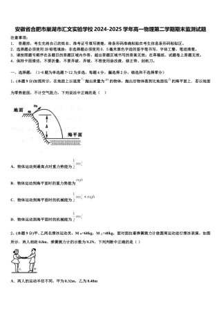 安徽省合肥市巢湖市汇文实验学校2024-2025学年高一物理第二学期期末监测试题含解析