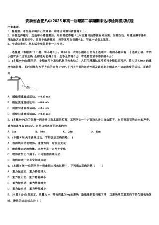 安徽省合肥八中2025年高一物理第二学期期末达标检测模拟试题含解析