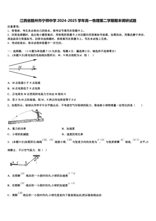 江西省赣州市宁师中学2024-2025学年高一物理第二学期期末调研试题含解析