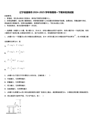 辽宁省盘锦市2024-2025学年物理高一下期末检测试题含解析