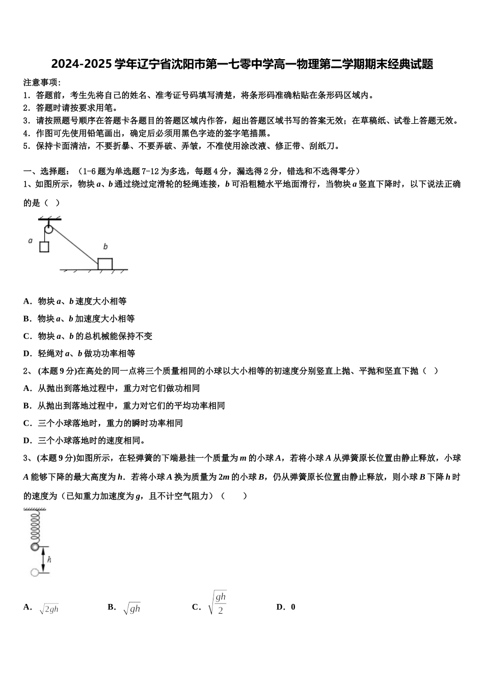 2024-2025学年辽宁省沈阳市第一七零中学高一物理第二学期期末经典试题含解析_第1页
