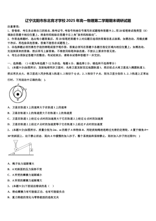 辽宁沈阳市东北育才学校2025年高一物理第二学期期末调研试题含解析