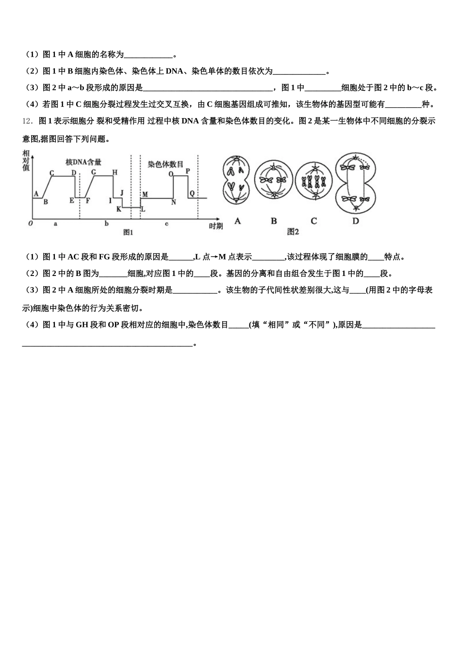 2025年江苏省马坝高级中学生物高一下期末预测试题含解析_第3页