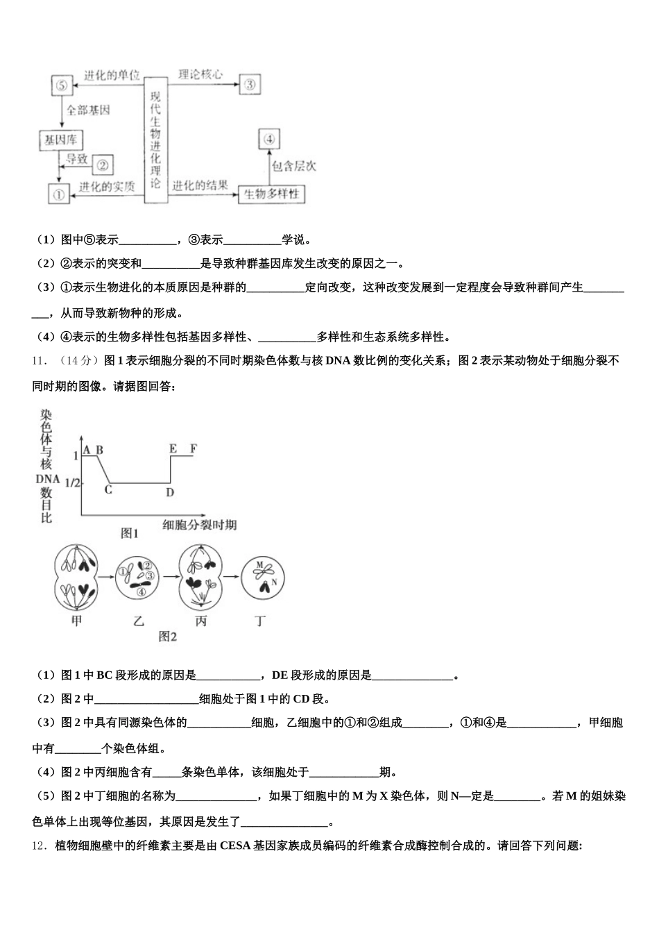 无锡市侨谊实验中学2024-2025学年高一生物第二学期期末达标检测模拟试题含解析_第3页