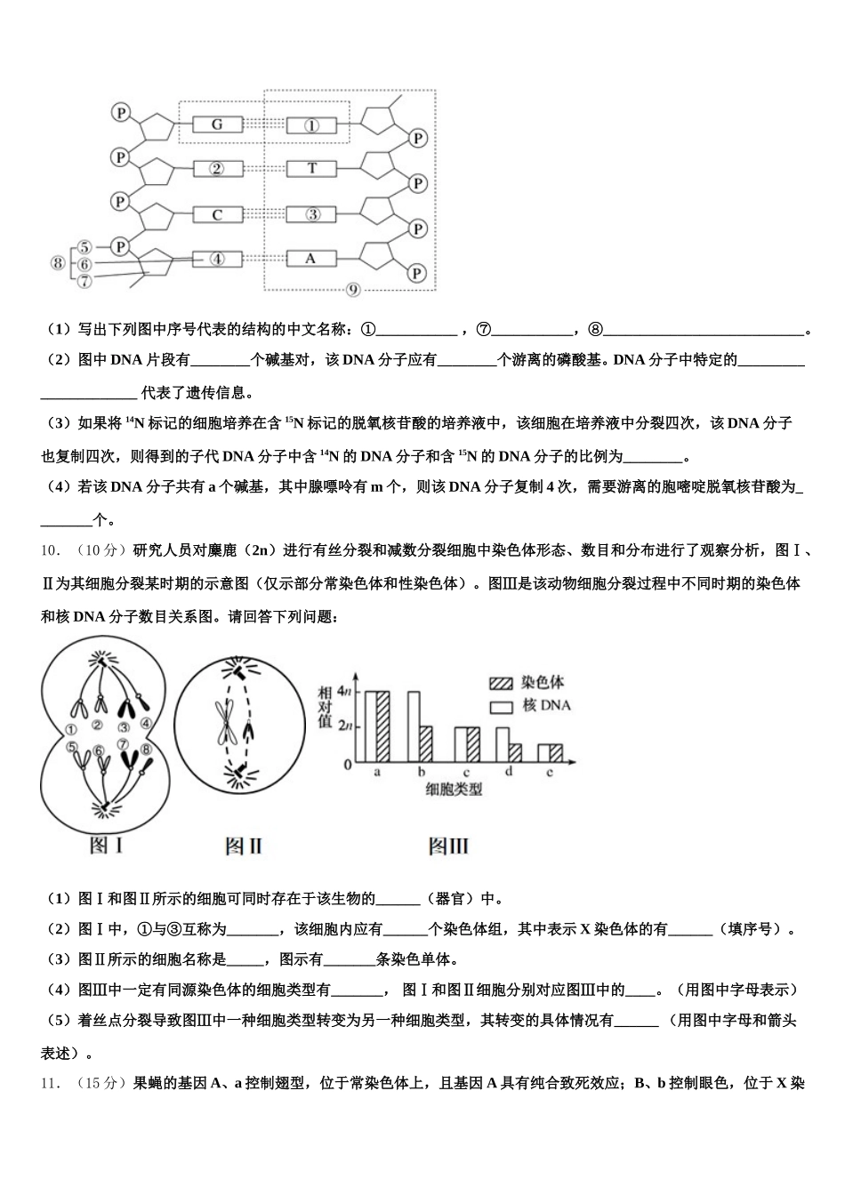 江苏省扬州市江都区大桥中学2025年生物高一下期末检测试题含解析_第3页