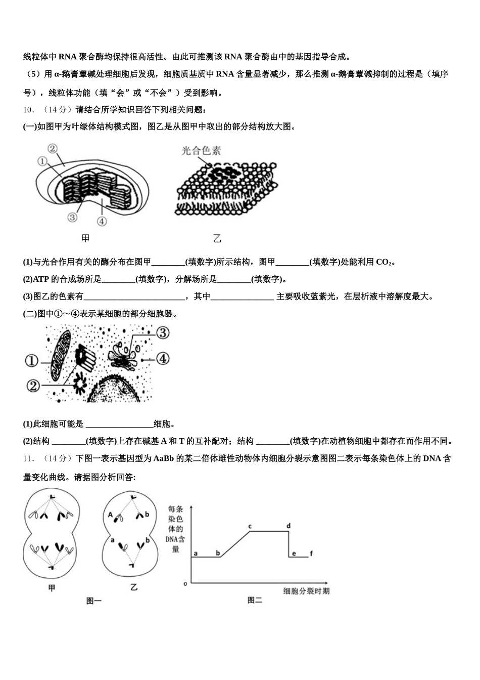 2025年江苏省盐城市东台三仓中学生物高一下期末学业水平测试模拟试题含解析_第3页
