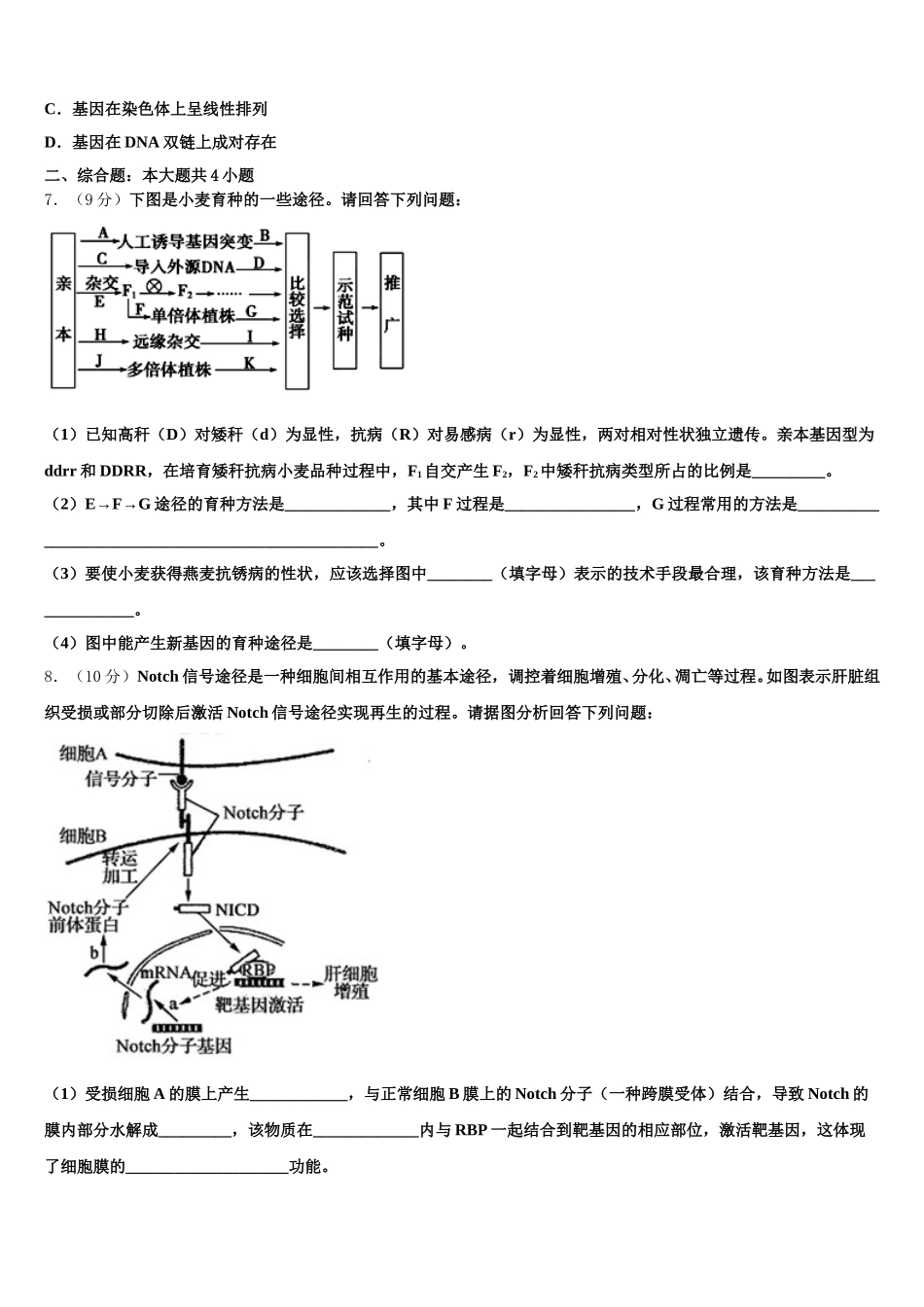 2025届江苏省沭阳县生物高一下期末学业水平测试试题含解析_第2页