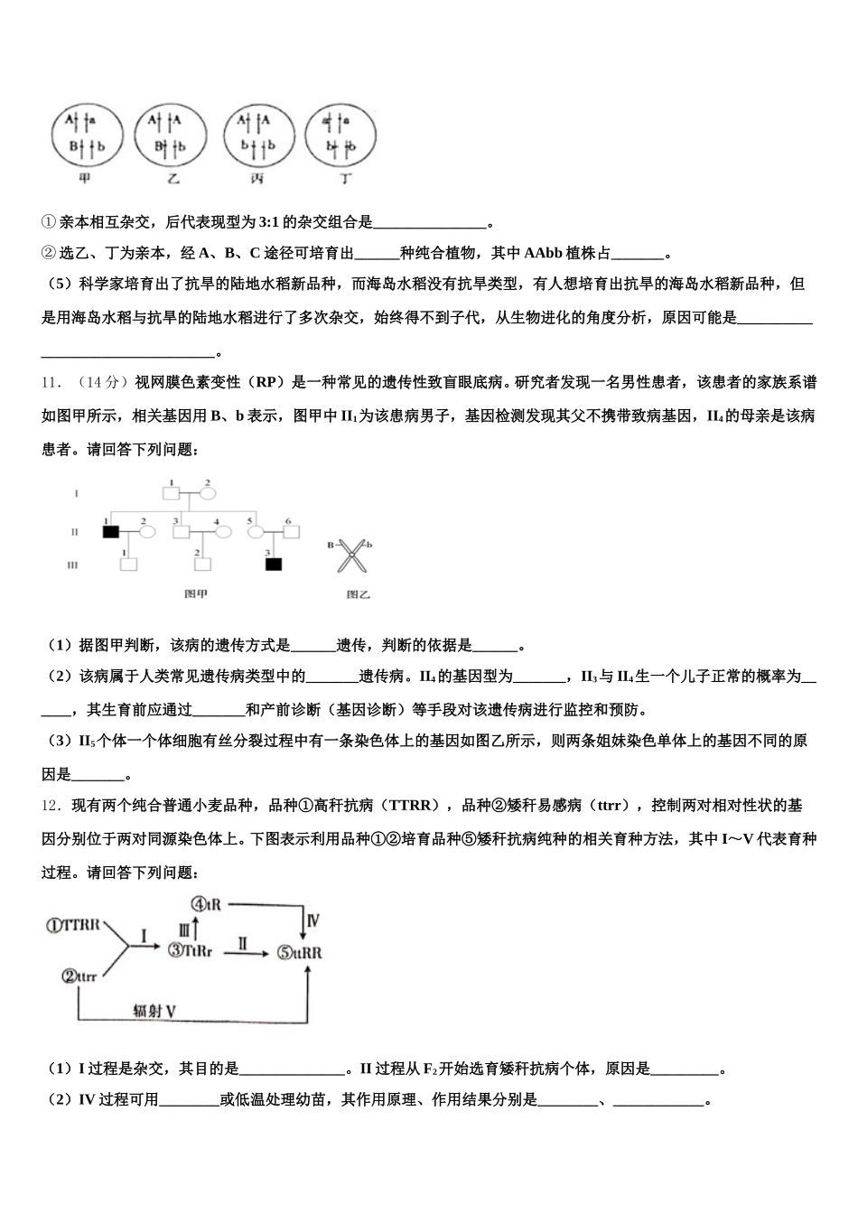 江苏省徐州市侯集高级中学2025年高一下生物期末联考模拟试题含解析_第3页