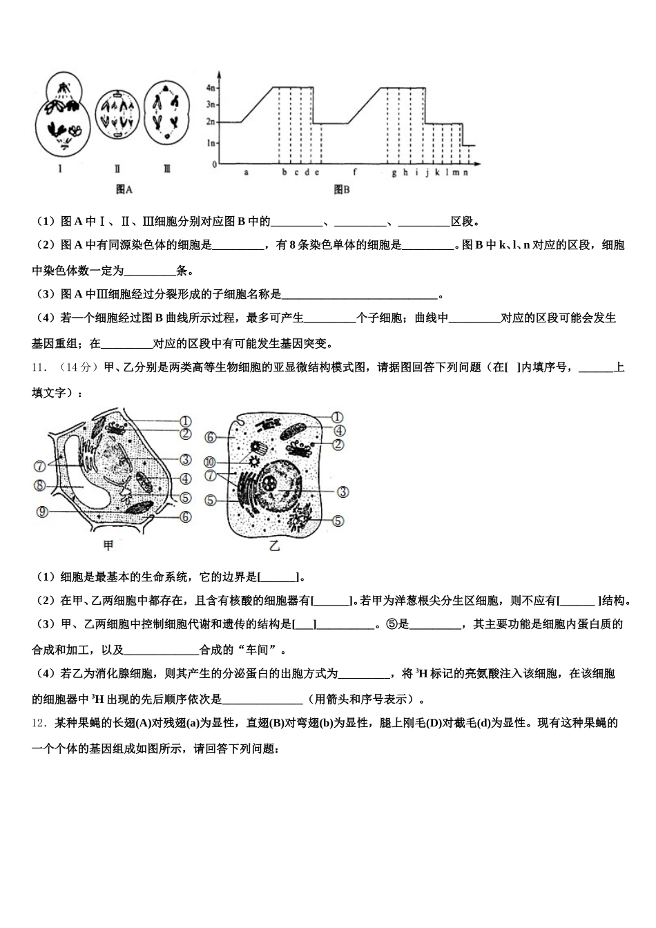 江苏省兴化市第一中学2025届高一生物第二学期期末联考试题含解析_第3页