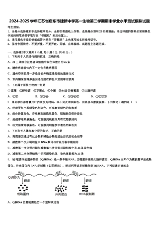 2024-2025学年江苏省启东市建新中学高一生物第二学期期末学业水平测试模拟试题含解析
