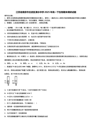 江苏省南京市玄武区溧水中学2025年高一下生物期末调研试题含解析
