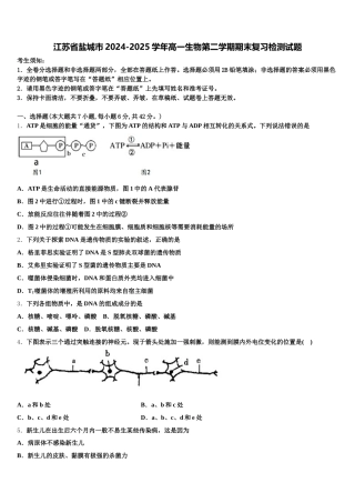 江苏省盐城市2024-2025学年高一生物第二学期期末复习检测试题含解析