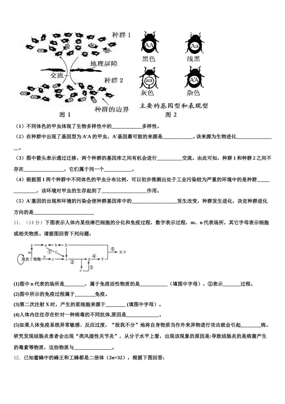 2025届江苏省扬州市江都区大桥中学生物高一第二学期期末综合测试模拟试题含解析_第3页