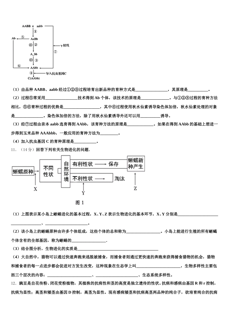 2025年江苏省兴化一中生物高一第二学期期末达标检测模拟试题含解析_第3页