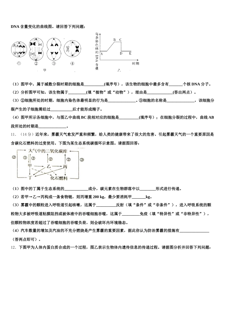 2024-2025学年江苏省射阳县盘湾中学、陈洋中学高一下生物期末学业水平测试模拟试题含解析_第3页