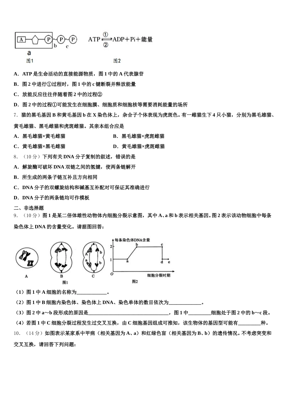 2024-2025学年江苏省宿迁市沭阳县生物高一下期末统考模拟试题含解析_第2页