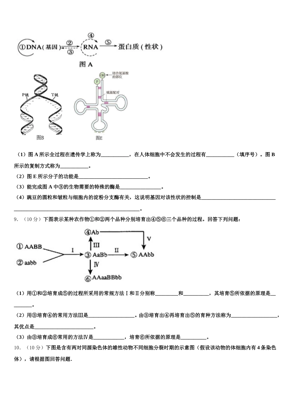 2025年江苏省栟茶高级中学高一生物第二学期期末质量跟踪监视模拟试题含解析_第3页