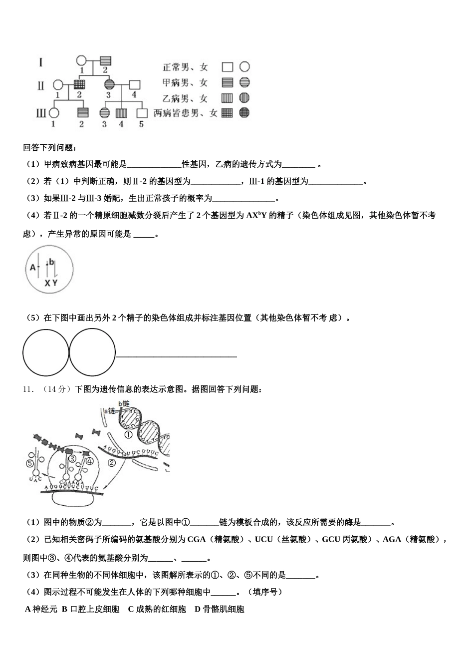 2025届江苏省淮海中学高一下生物期末复习检测模拟试题含解析_第3页