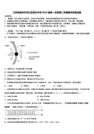 江苏省扬州市邗江区蒋王中学2025届高一生物第二学期期末经典试题含解析