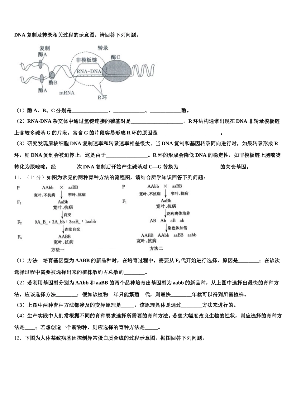 2025年江苏省赣榆县海头高级中学生物高一下期末考试试题含解析_第3页