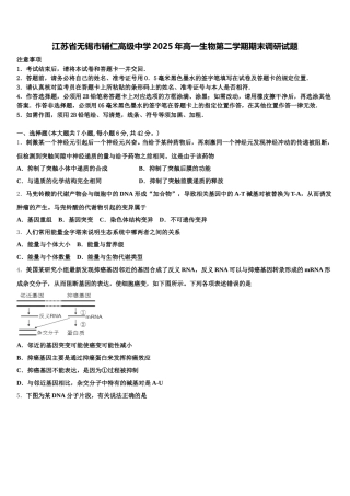 江苏省无锡市辅仁高级中学2025年高一生物第二学期期末调研试题含解析