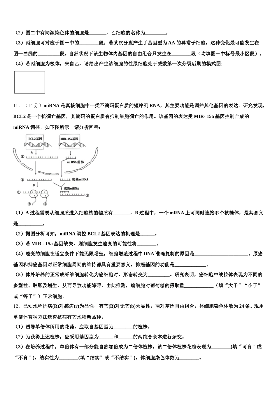 江苏省南京市第二十九中2025届生物高一下期末学业水平测试试题含解析_第3页
