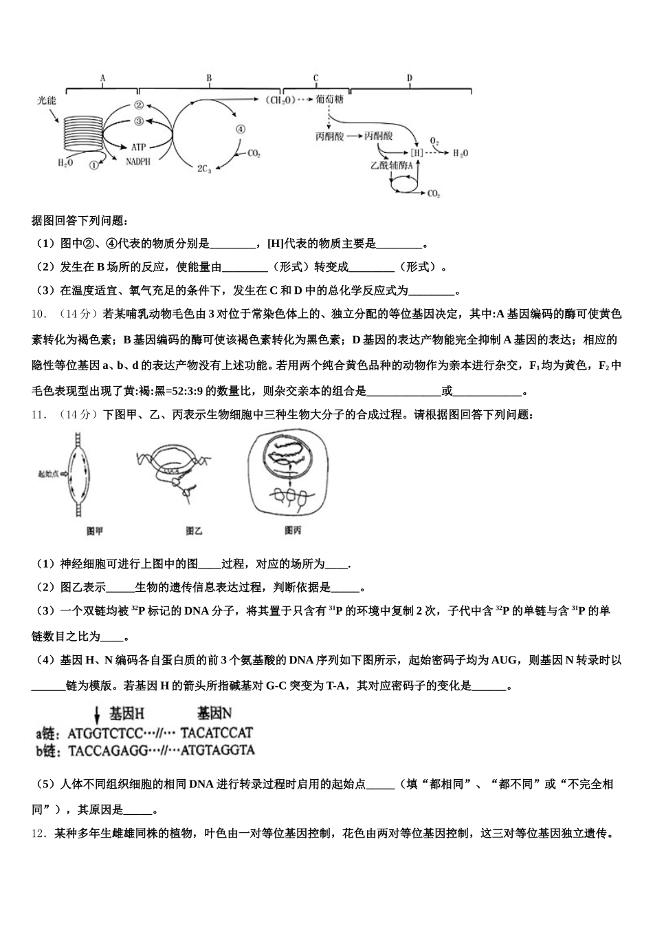 2025届江苏省淮州中学生物高一下期末监测模拟试题含解析_第3页