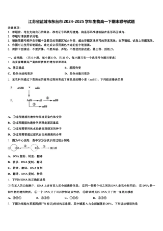 江苏省盐城市东台市2024-2025学年生物高一下期末联考试题含解析