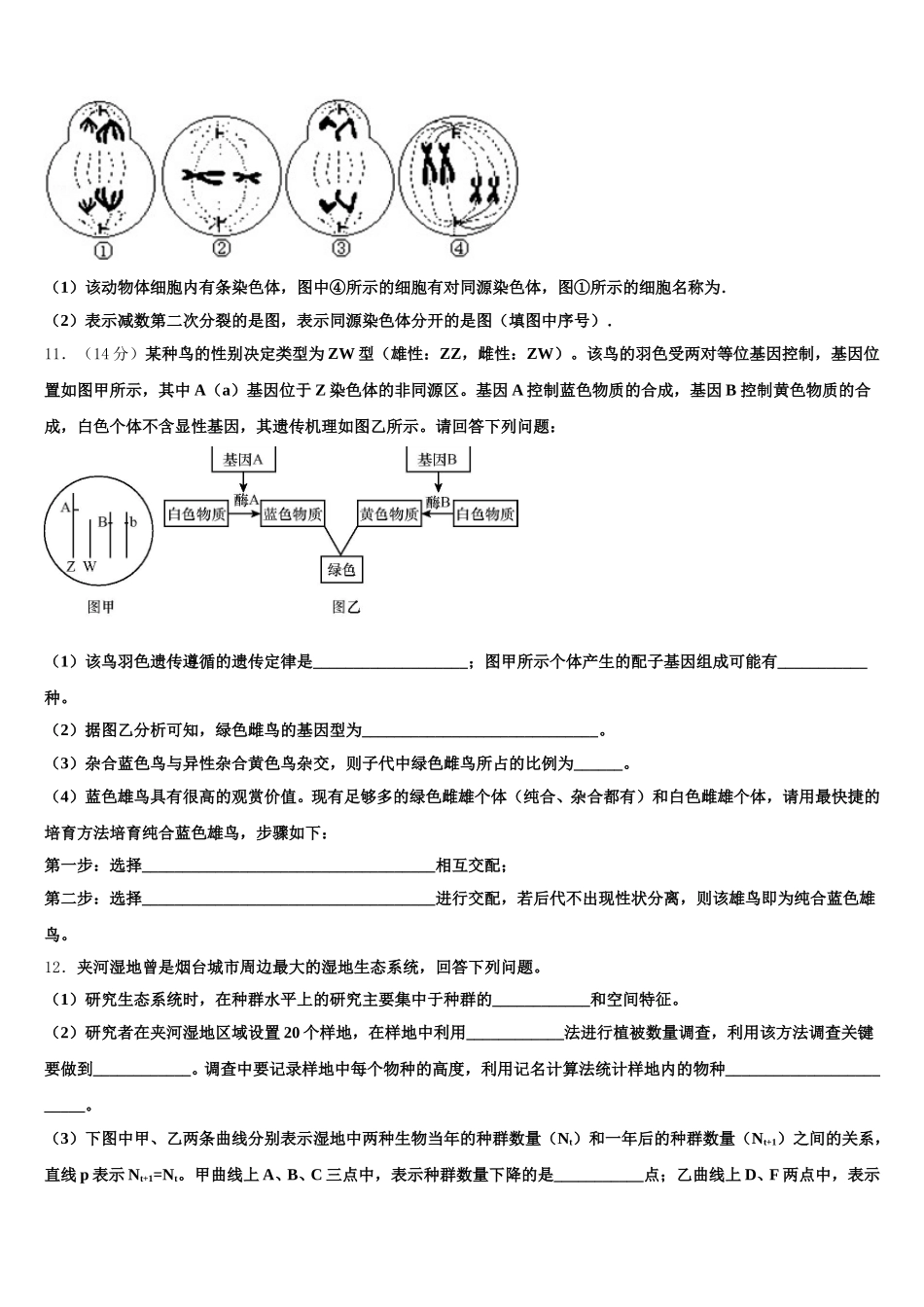 江苏省南京市玄武区溧水中学2025年生物高一下期末复习检测试题含解析_第3页