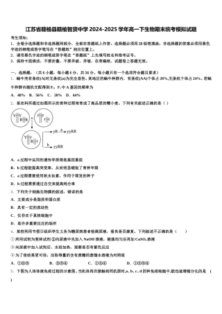 江苏省赣榆县赣榆智贤中学2024-2025学年高一下生物期末统考模拟试题含解析