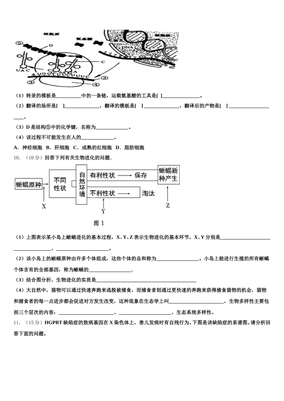 2025届江苏省扬州市安宜高中、汜水高中联考生物高一下期末学业水平测试模拟试题含解析_第3页