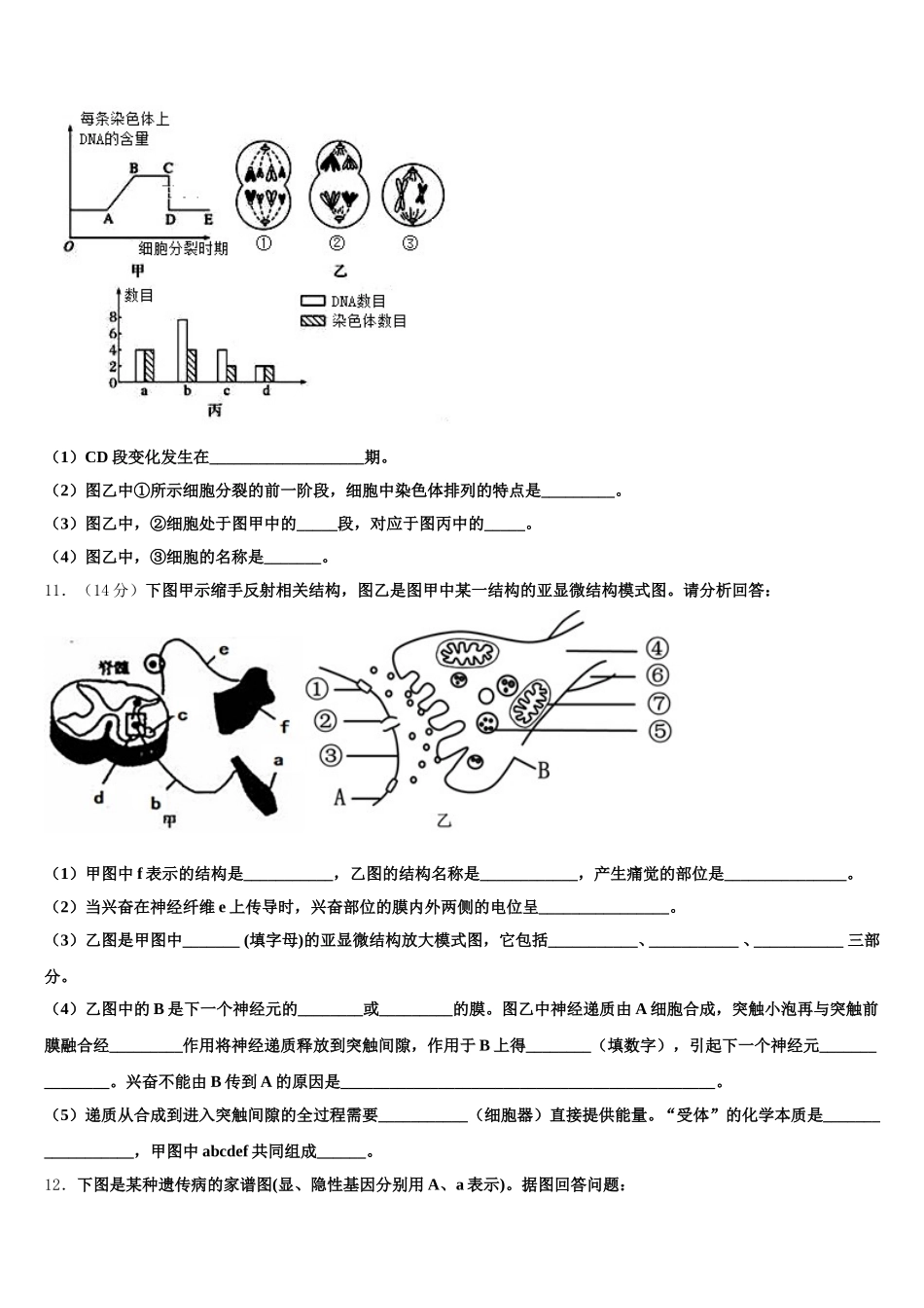 2025届常州市第二十四中学高一下生物期末质量检测试题含解析_第3页