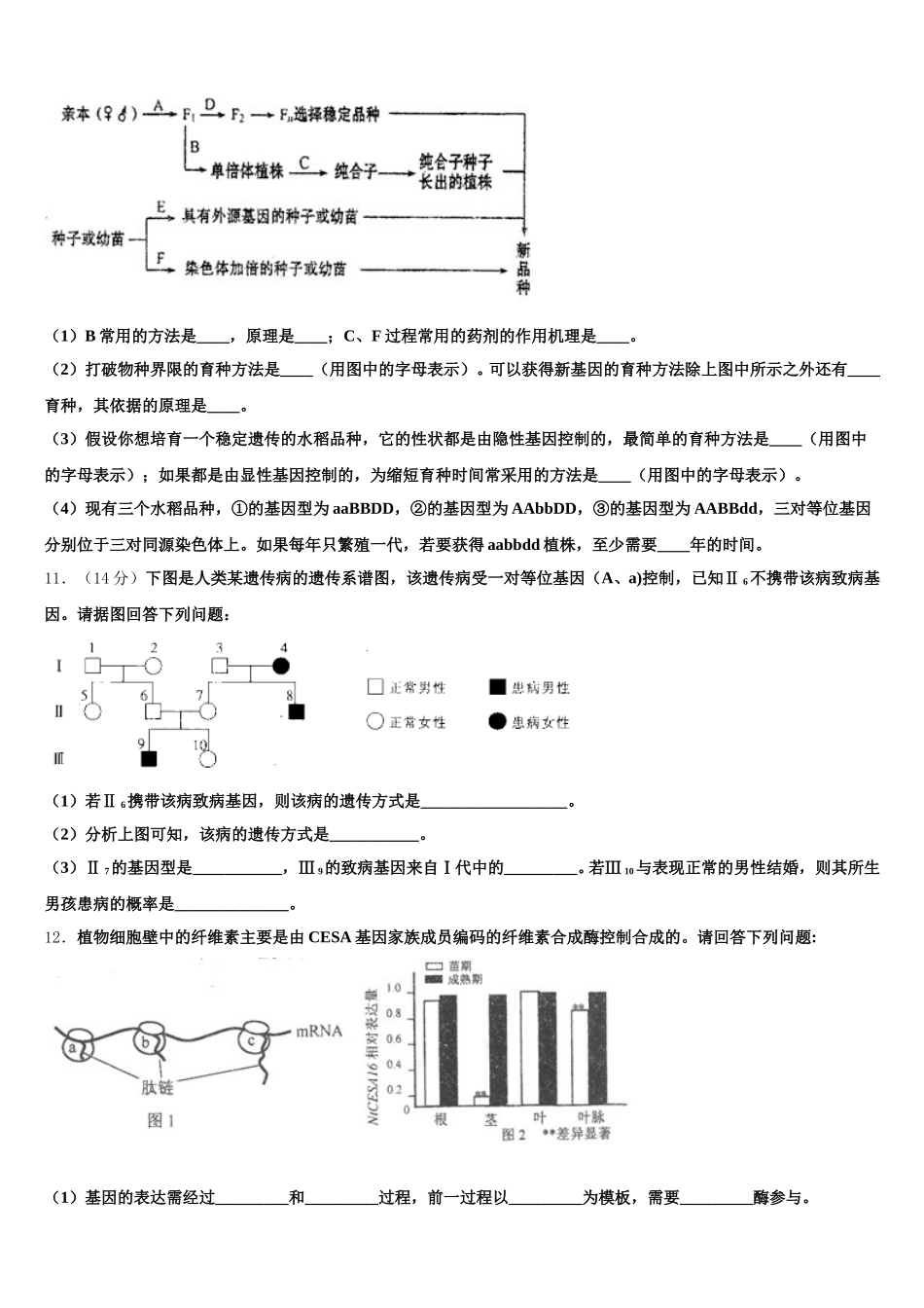 江苏省宝应中学2025届生物高一下期末预测试题含解析_第3页