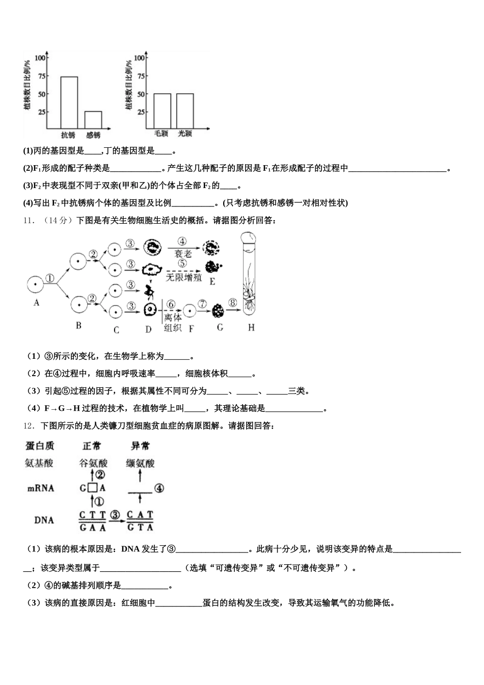 江苏省江都市仙城中学2024-2025学年高一下生物期末调研模拟试题含解析_第3页
