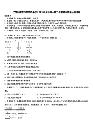 江苏省南京市燕子矶中学2025年生物高一第二学期期末质量检测试题含解析