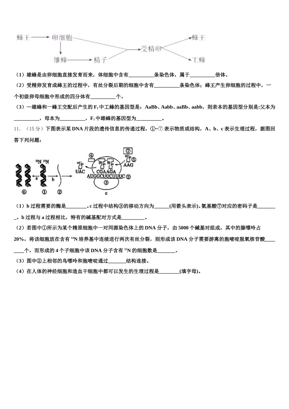 江苏省无锡市锡山区天一中学2025届生物高一第二学期期末教学质量检测模拟试题含解析_第3页