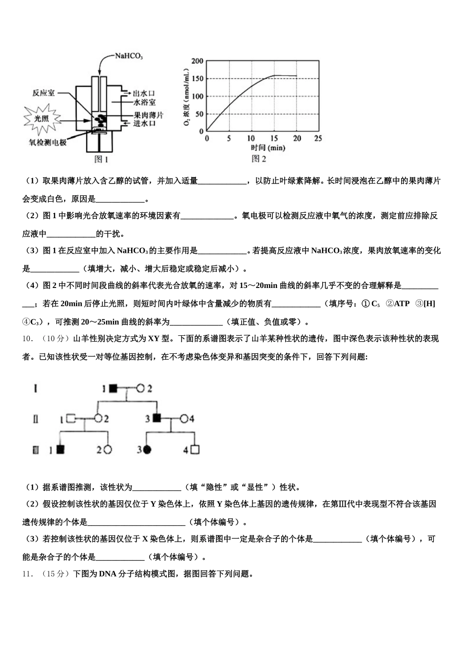 2024-2025学年江苏省苏州市新区实验中学生物高一下期末质量检测试题含解析_第3页