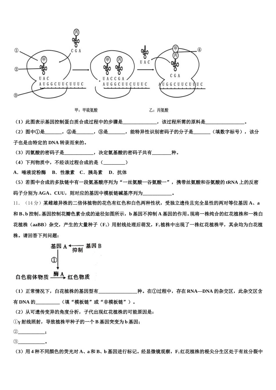 2024-2025学年江苏省盐城市射阳县盘湾中学生物高一下期末教学质量检测试题含解析_第3页