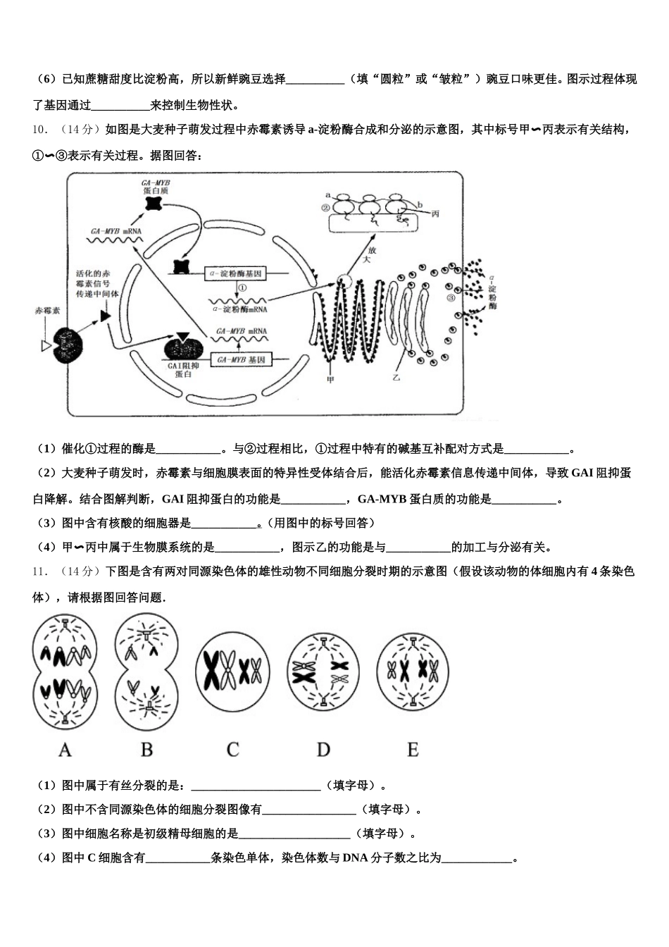 江苏省苏州市吴江汾湖中学2025届高一下生物期末质量检测模拟试题含解析_第3页