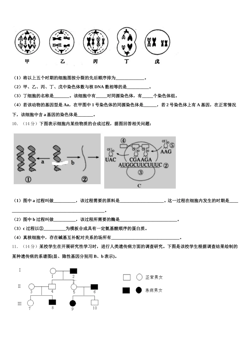 江苏省连云港市灌南县二中2024-2025学年高一生物第二学期期末检测模拟试题含解析_第3页