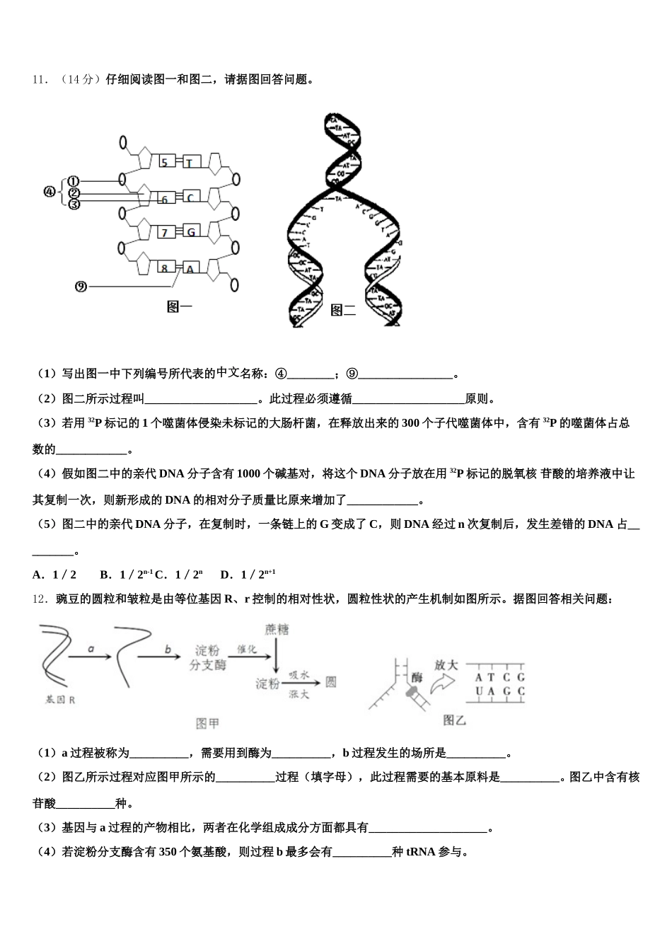2025年江苏省连云港市赣榆区高一下生物期末质量跟踪监视模拟试题含解析_第3页