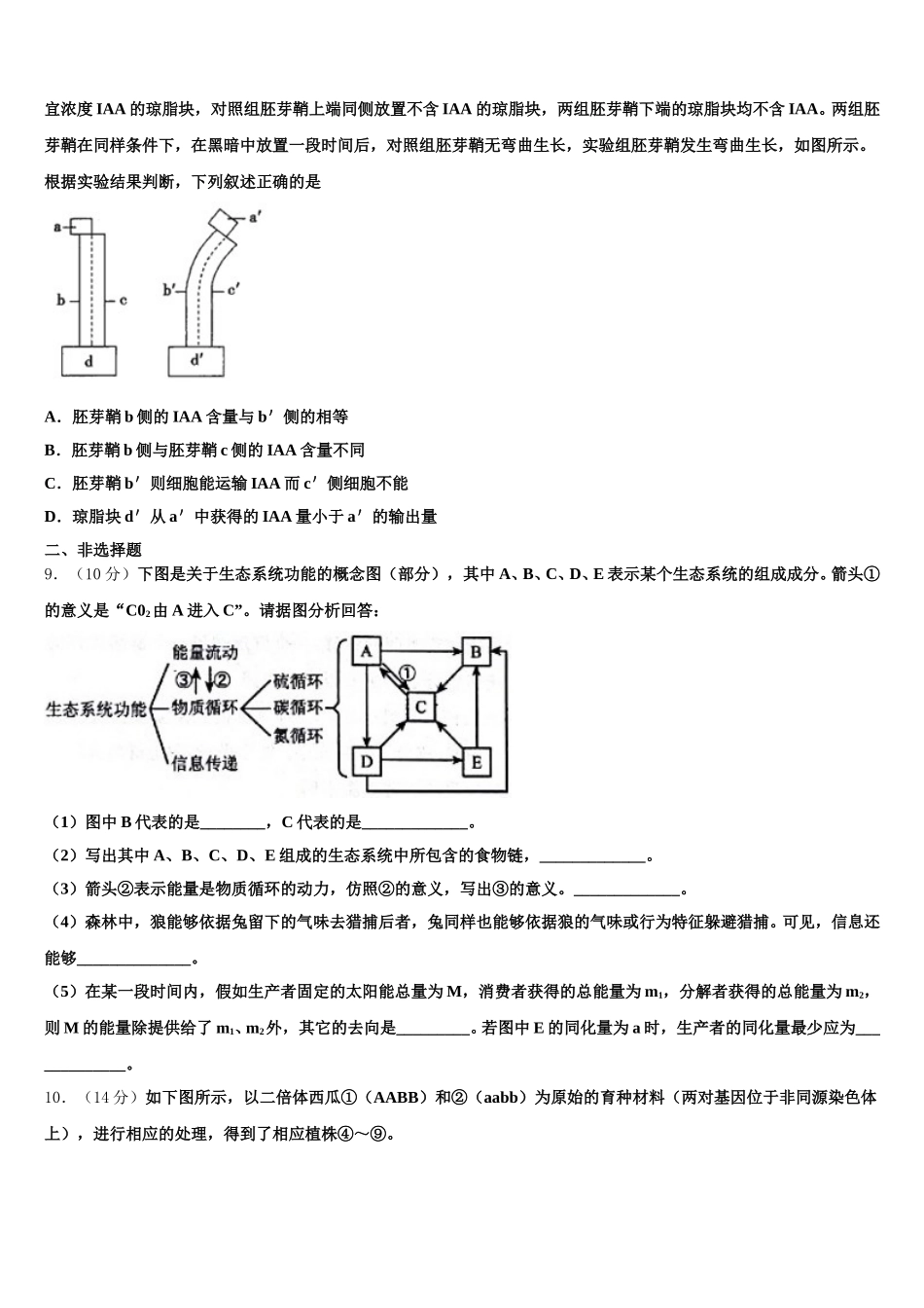 江苏省宿迁市沭阳中学2024-2025学年高一下生物期末复习检测模拟试题含解析_第2页