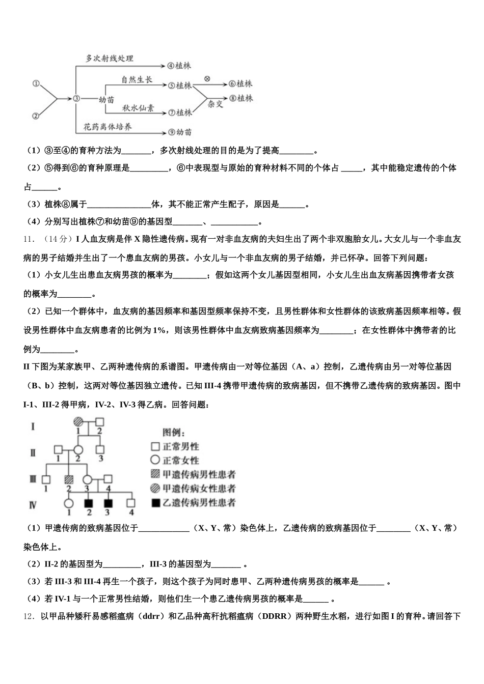 江苏省宿迁市沭阳中学2024-2025学年高一下生物期末复习检测模拟试题含解析_第3页